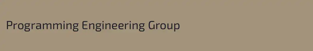 Programming Engineering Group